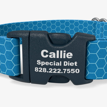 closeup of buckle personalization